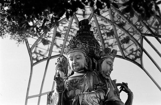 Embrace Holistic Beauty Mind, Body,  Spirit Connection